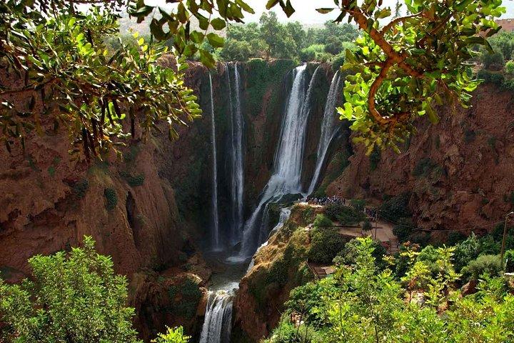 Marrakech: Ouzoud Waterfalls Guided Day Trip with Boat Ride
