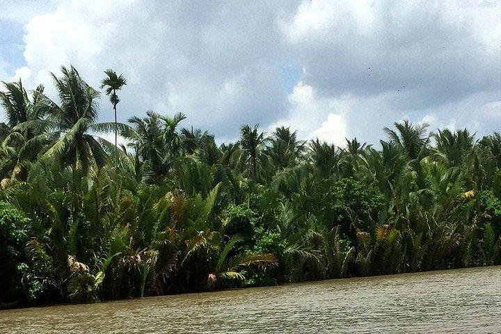 Mekong Delta in Ben Tre private tour full day