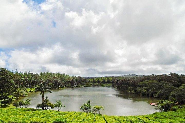 South Mauritius Private Day Tour: Tea Factory, Nature Park and Wild South Coast