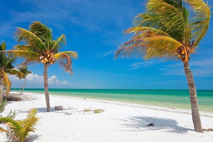 Private Tour To Holbox From Cancun