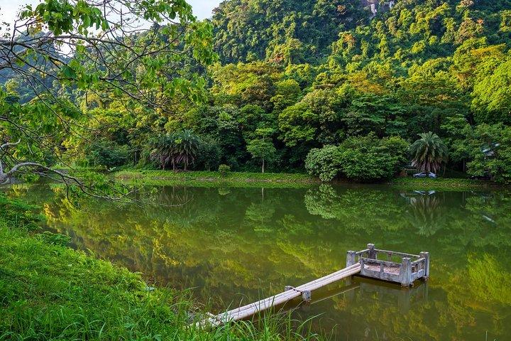 Cuc Phuong National Park Trekking Tour with Expert Guide