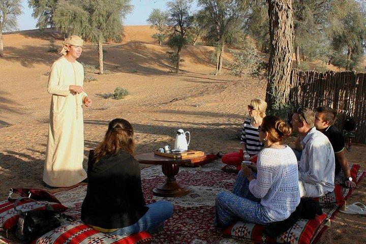 Small-Group Tour: Falcon 2—Dubai Falconry Safari