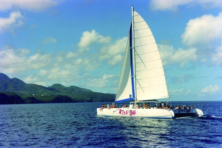 Catamaran Day Trip to Soufriere for Cruise Ship Passengers