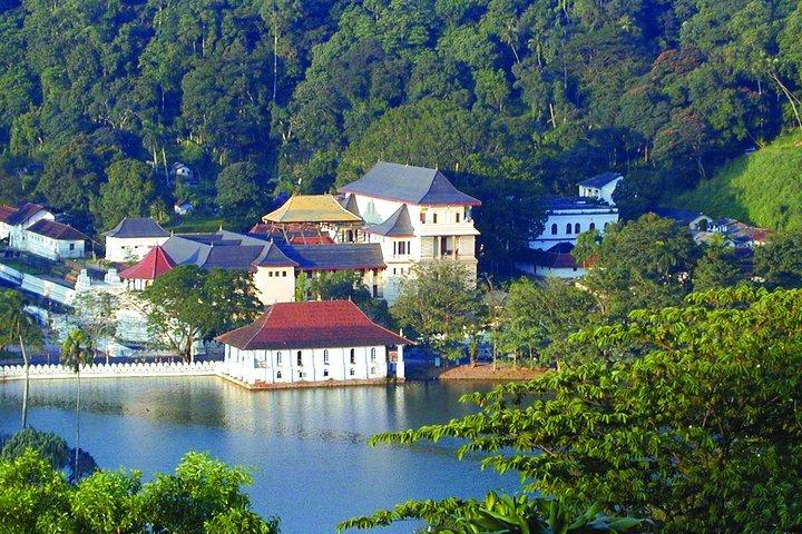 Private Custom Kandy Day Tour from Bentota & Beruwala