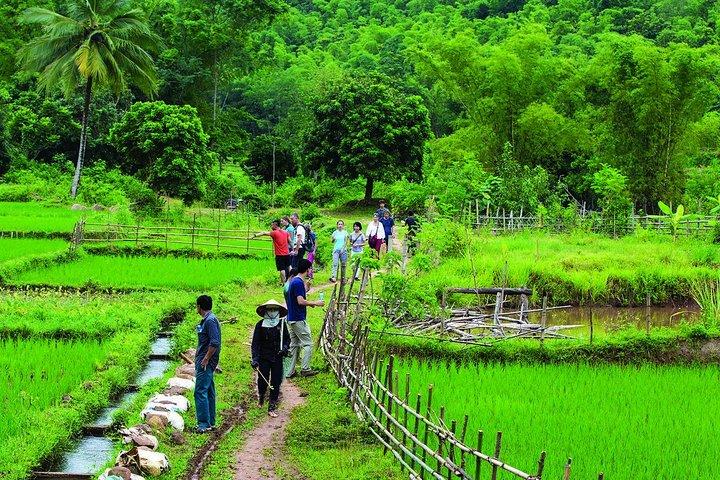 Mai Chau 2 days 1 night visiting, biking Buoc village depart from Hanoi Center
