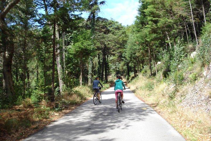 E-Bike Self-Guided Sintra - Cascais (Private Tour from Lisbon)