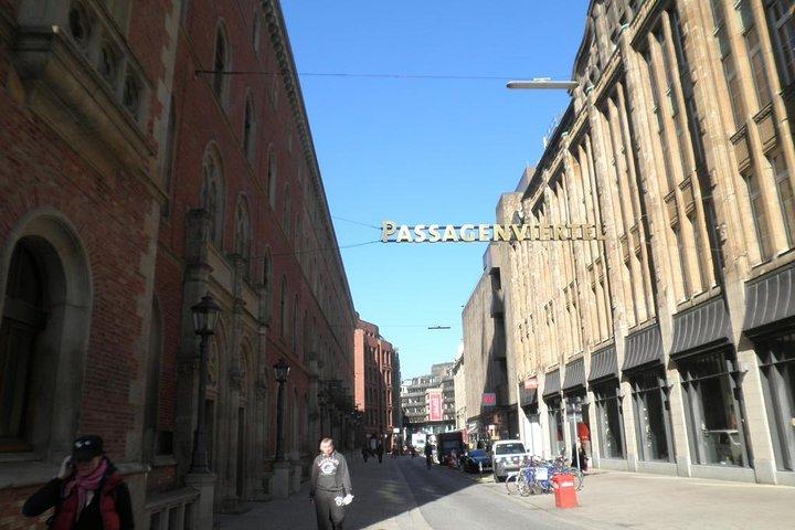 Hamburg Down Town: Historic City Center with city hall (walking)