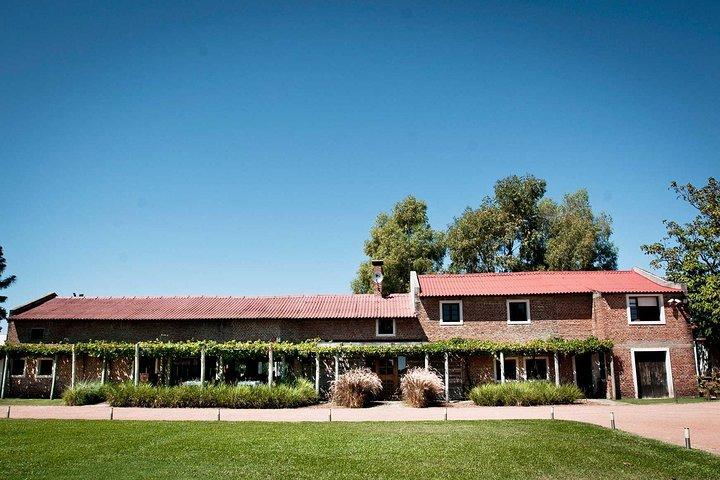 Bouza Winery Tastings and Tapas (Esp, Eng, Port)