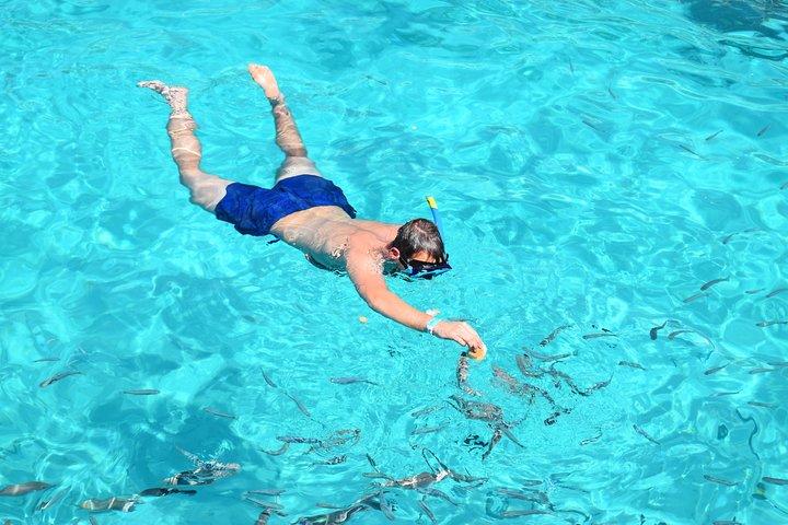 Comino Island: including Blue Lagoon, Crystal Lagoon & sea caves