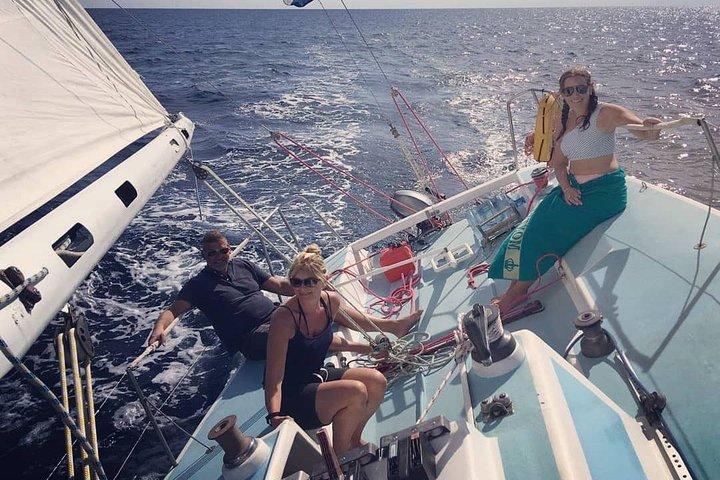 Experience full day sailing from Dubrovnik to Elaphiti islands