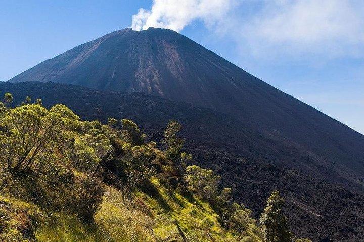 Pacaya Volcano Excursion from Guatemala City