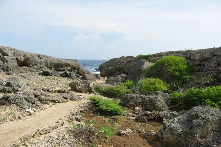 Curacao Complete Island Tour