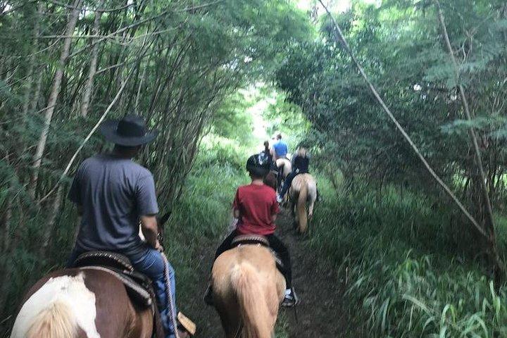 West Maui Mountain Waterfall and Ocean Tour via Horseback
