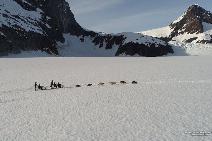 Juneau Helicopter and Dogsledding with Added Glacier Landing