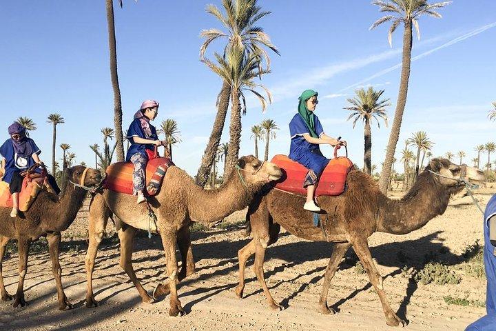 Marrakech Activities: Camel Ride Tour