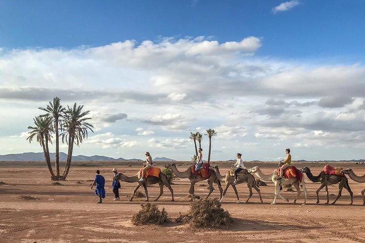 Camel Ride and Quad Bike in Palmeraie