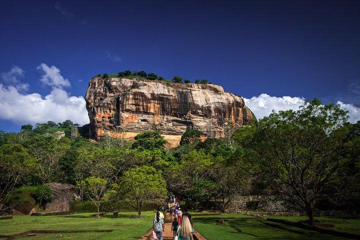 Sigiriya Rock and Dambulla Cave Temple all inclusive Private Day Trip