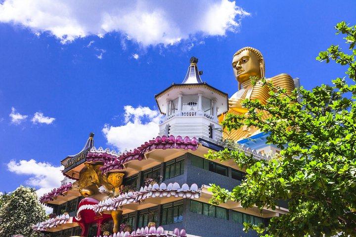 Sigiriya Rock and Dambulla Cave Temple all inclusive Private Day Trip