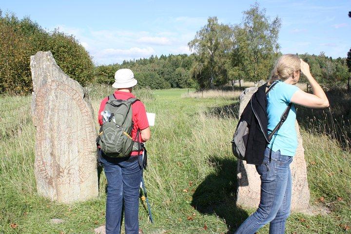 Private Half Day Tour: Viking History Trip from Stockholm Including Sigtuna