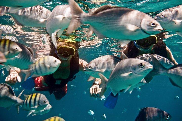 Sunset Catamaran and Snorkeling Cruise At Carlisle Bay