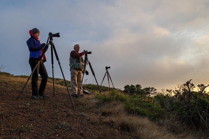 Private San Francisco Sunset Photography Experience