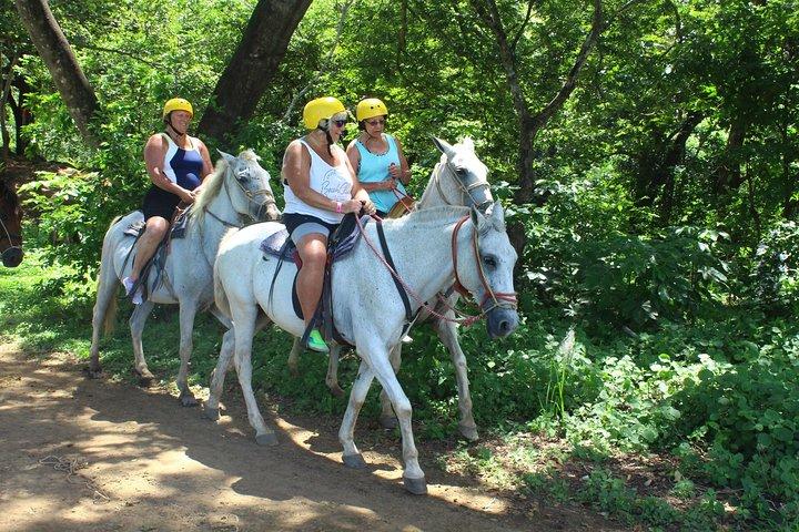 Horseback Riding Jungle and Beach in Playa Flamingo