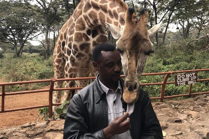 Giraffe Center Half-Day Trip from Nairobi