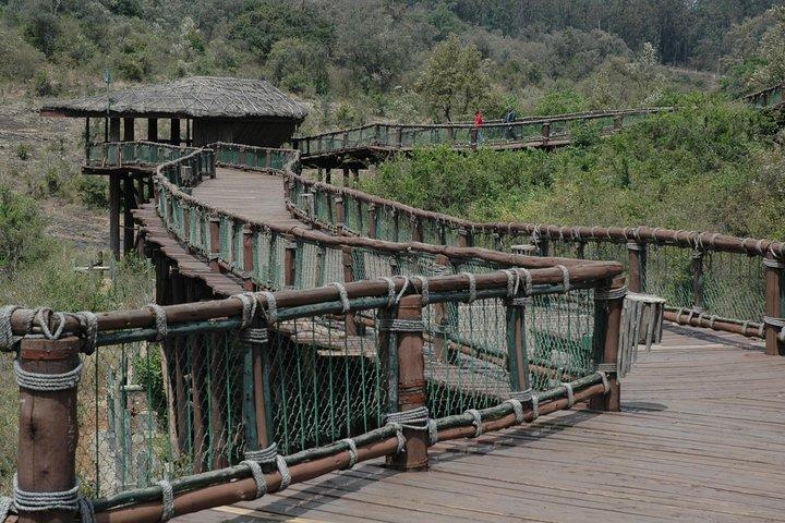 Nairobi Animal Orphanage, Safari Walk & Bomas Cultural Dance Show