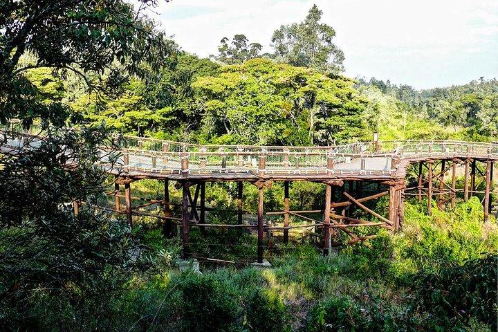 Nairobi Animal Orphanage, Safari Walk & Bomas Cultural Dance Show