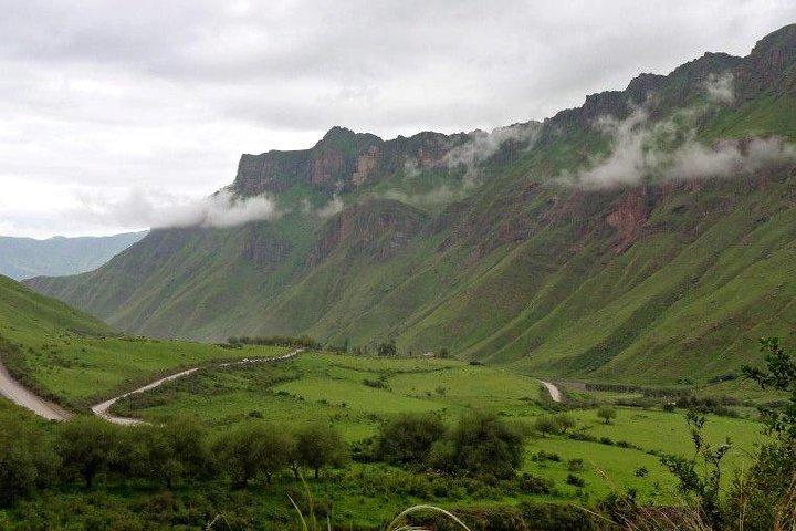 Full-day Cachi and Los Cardones National Park from Salta