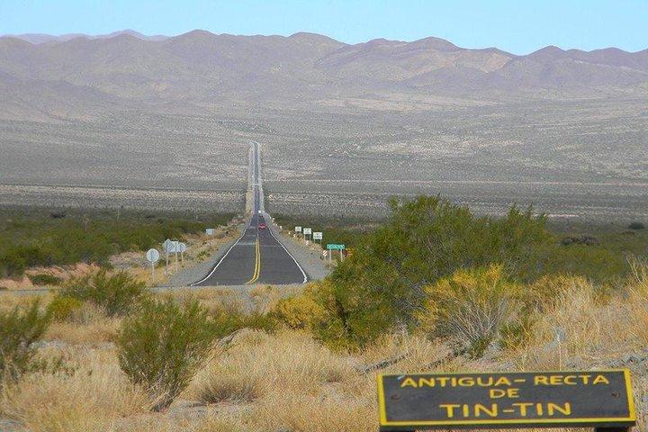 Full-day Cachi and Los Cardones National Park from Salta