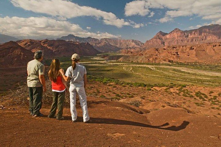 Full-day Cafayate, Lerma Valley, and Wine Tasting from Salta