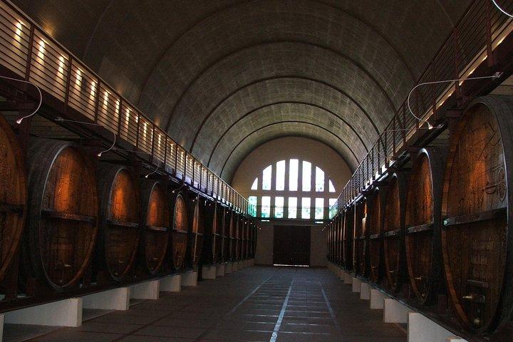 Private Cape Winelands from Stellenbosch OR Franschhoek OR Paarl