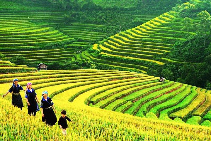 Sapa Tours 2D1N stay At 4 stars hotel nice Sleeping Bus TRANSFER