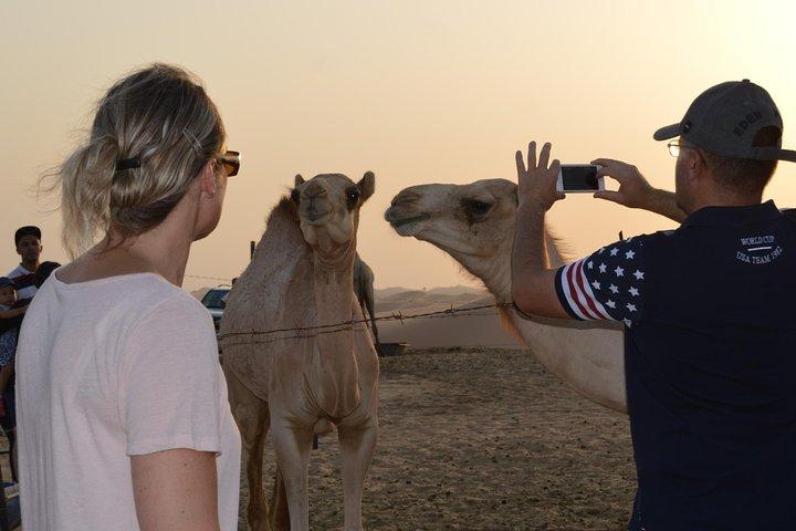 Dubai Desert Safari A Morning Tour For Private group