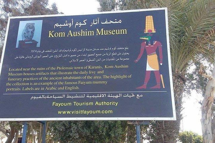 Fayoum Oasis & Wadi Al Rian Day Tour from Cairo