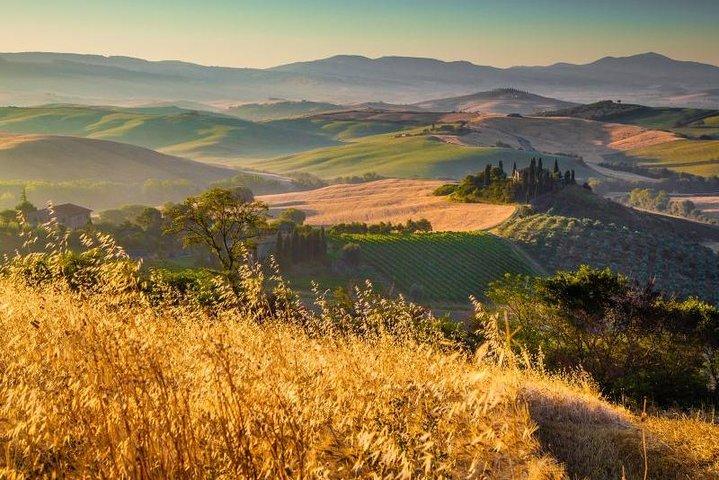 Private Montalcino and Pienza Tour from Siena