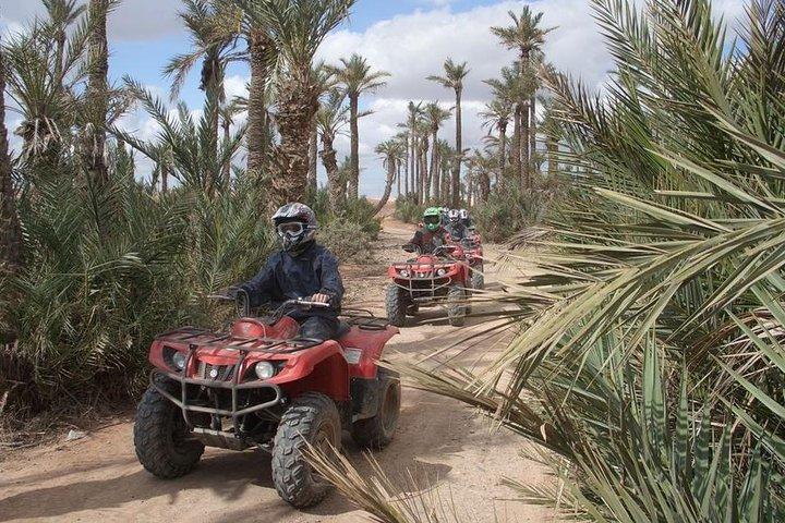 Quad Bike, Camel Ride, Lunch & Hammam Tour
