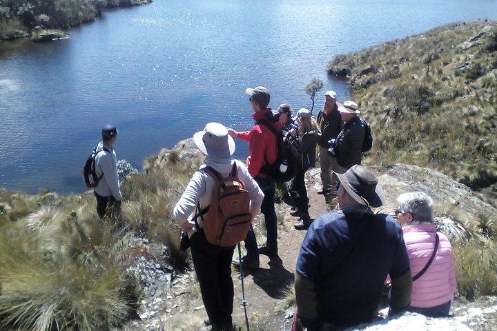 Cajas National Park tour from Cuenca