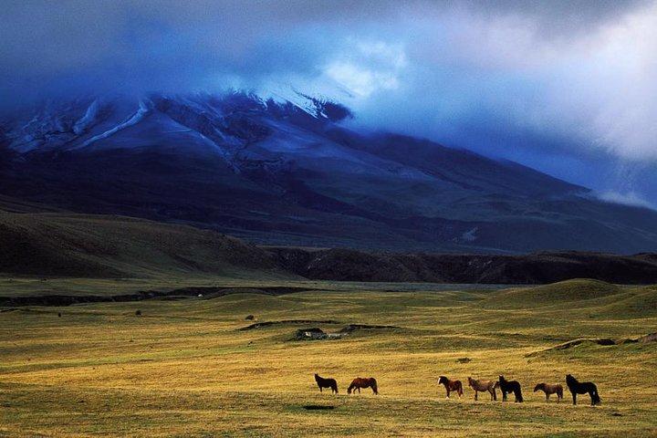 Cotopaxi Volcano: Biking Small Group Full Day Tour
