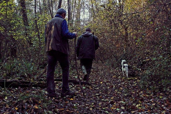 Truffle Hunting in Siena countryside