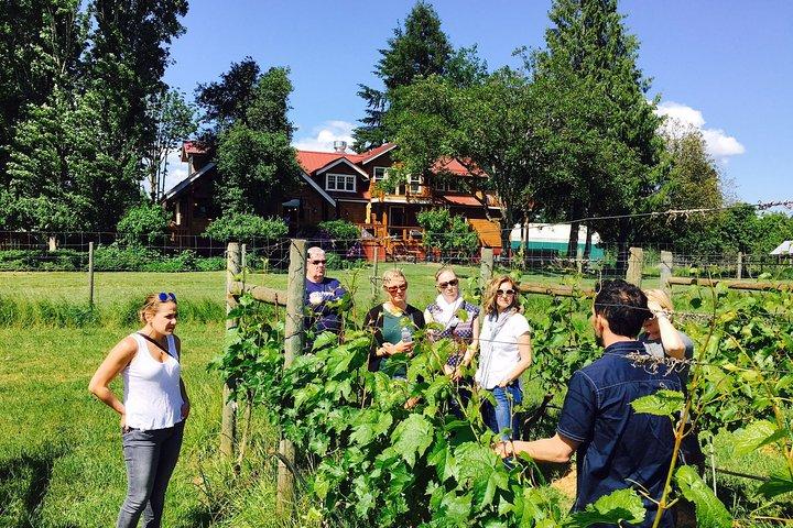 Victoria Wine Tour with Wine Tastings and Charcuterie