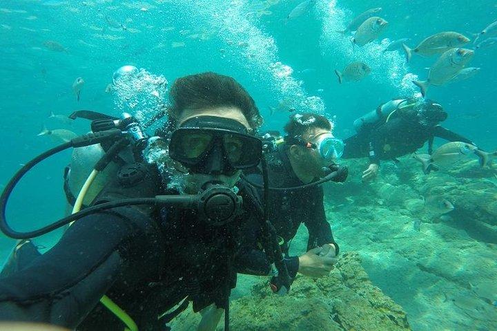 Scuba Diving from Bodrum