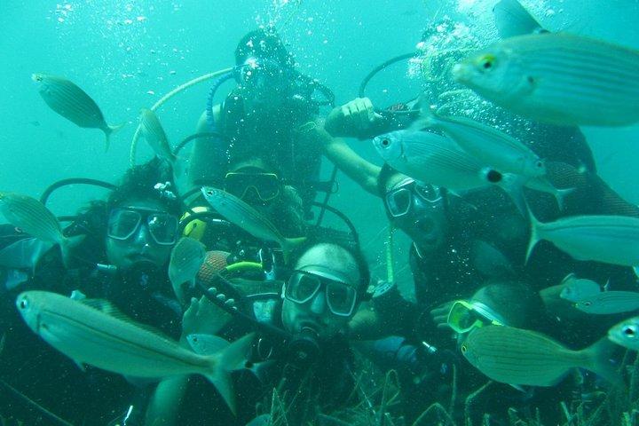 Scuba Diving from Bodrum
