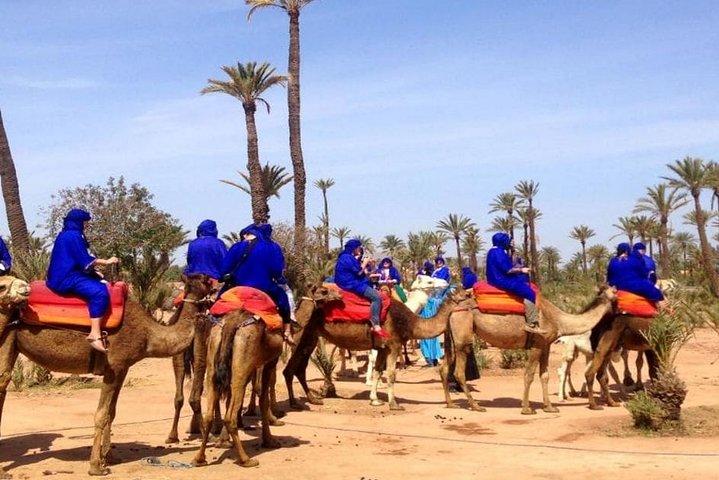 Marrakech Camel Ride at the Palm Groves