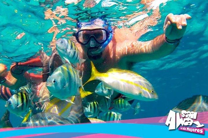 Adults Only Party Cruise to Isla Mujeres Free one-way pickup