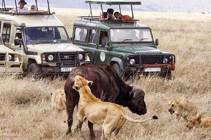 8 days Spectacular Tanzania Northern Circuit Wildlife Safari Lodge