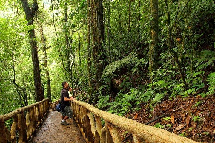 Blue River and Tenorio Volcano National Park Hike