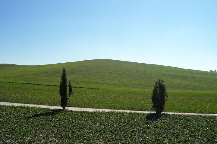 Private Tour to Siena and San Gimignano with Wine Tasting & Lunch