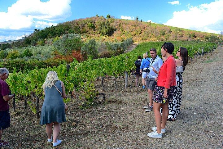Chianti Classico and Super Tuscan 3 Winery Tour